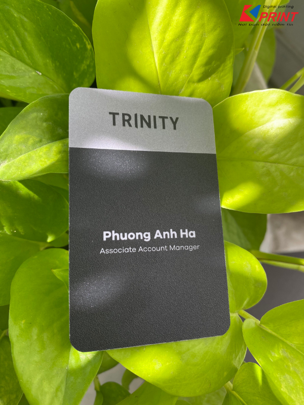 In name card gấp