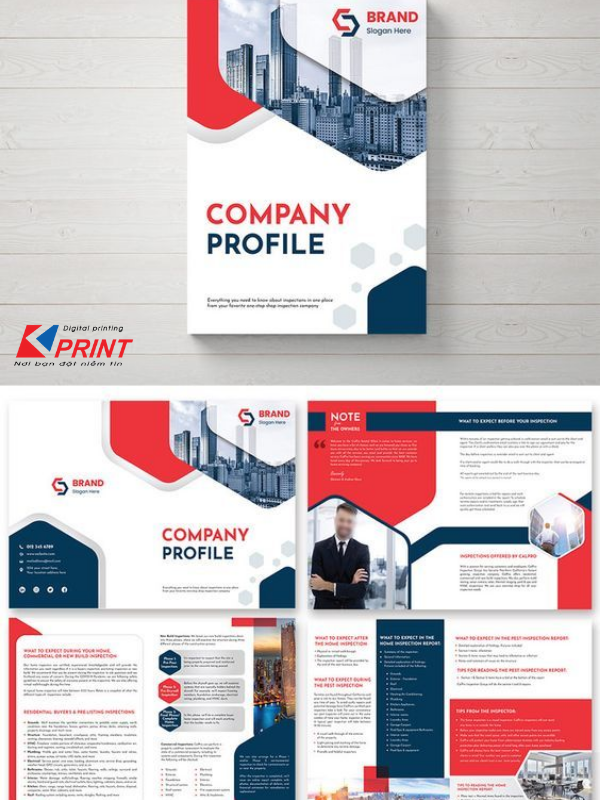 In Brochure Giá Rẻ